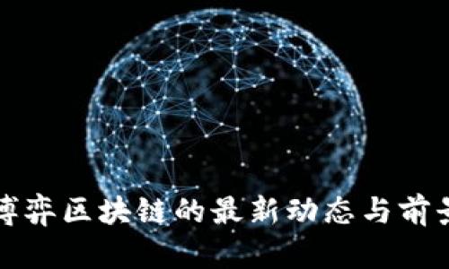 揭秘博弈区块链的最新动态与前景分析