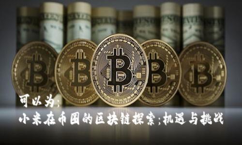 可以为：  
小米在币圈的区块链探索：机遇与挑战