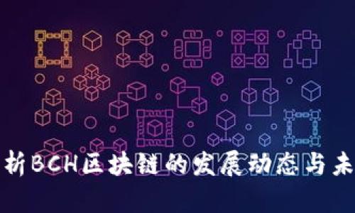 深入解析BCH区块链的发展动态与未来趋势