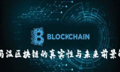 币马温区块链的真实性与未来前景解析