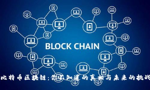 比特币区块链：你不知道的真相与未来的挑战