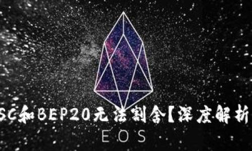 是什么让TP钱包与BSC和BEP20无法割舍？深度解析其背后的联系与挑战