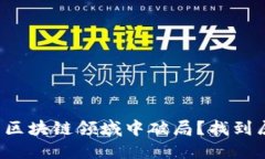 如何在不断变化的区块链领域中破局？找到属于