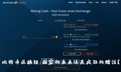 比特币区块链：国家的未来还是疯狂的赌注？