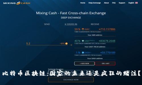 比特币区块链：国家的未来还是疯狂的赌注？