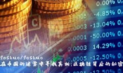 foshuo/foshuo在币圈的迷雾中寻找真相：区块链背后