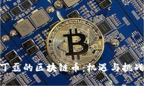 探寻网易丁磊的区块链币：机遇与挑战的双重奏