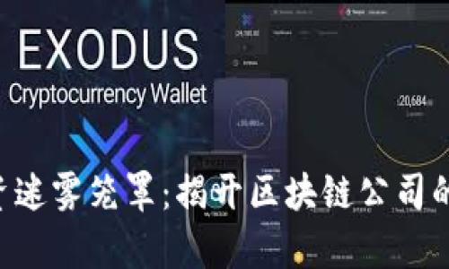 不再被投资迷雾笼罩：揭开区块链公司的投资真相!