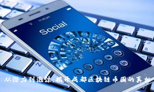 从潜力到泡沫：揭开成都区块链币圈的真相