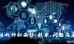 揭开区块链的神秘面纱：技术、问题与未来的挑