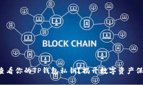 如何安全查看你的TP钱包私钥？揭开数字资产保护的面纱！
