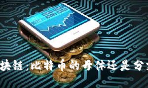 区块链：比特币的母体还是分支？