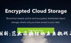 深度剖析：范太区块链的未来挑战与机遇