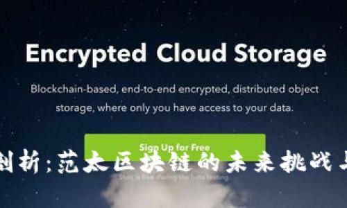 深度剖析：范太区块链的未来挑战与机遇