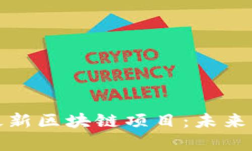 探索西城最新区块链项目：未来科技的前沿