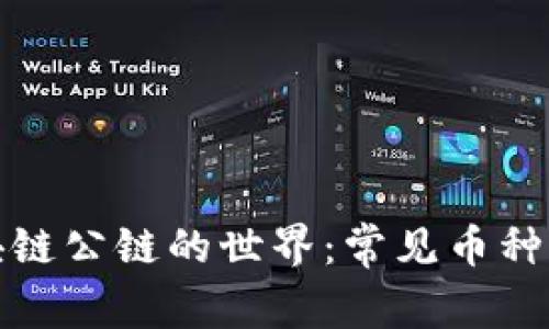 探索区块链公链的世界：常见币种及其特点