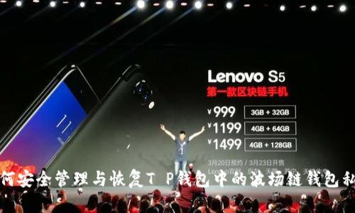 如何安全管理与恢复T P钱包中的波场链钱包私钥