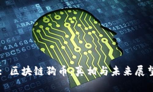 : 区块链狗币：真相与未来展望