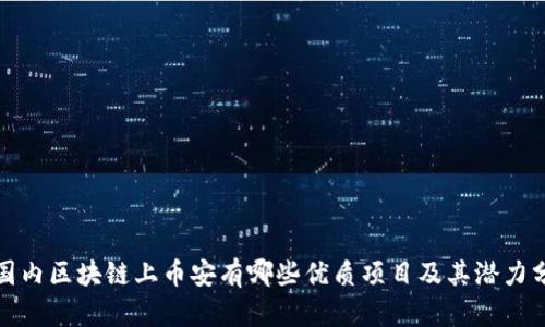: 国内区块链上币安有哪些优质项目及其潜力分析