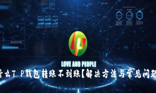  为什么T P钱包转账不到账？解决方法与常见问题解析