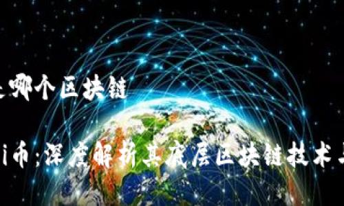 hi币是哪个区块链

探索hi币：深度解析其底层区块链技术与应用