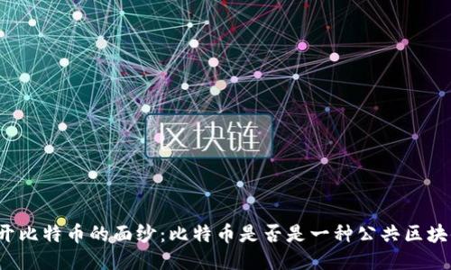 揭开比特币的面纱：比特币是否是一种公共区块链？