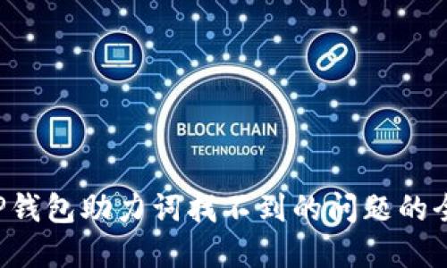 解决T P钱包助力词找不到的问题的全面指南