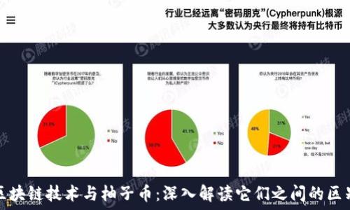   
区块链技术与柚子币：深入解读它们之间的区别